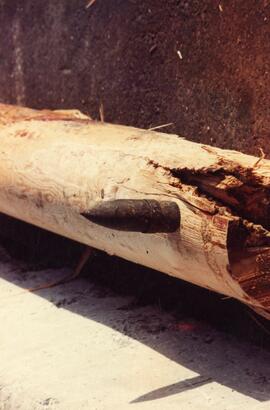 World War 2 artillery shell embedded in a log being sawn at Fraser Mills