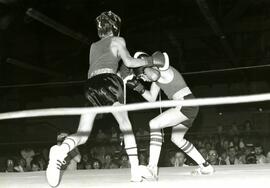 Maple Ridge vs Langley boxing match
