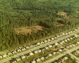 Aerial of Mundy Park Clearing