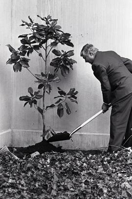 Len Treboulay planting a tree for Earth Day