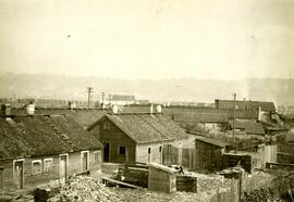 Fraser Mills, Chinese Townsite, Rear