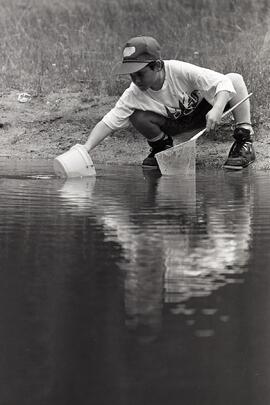 Lorin Beer searches for frogs and tadpoles at Mundy Park