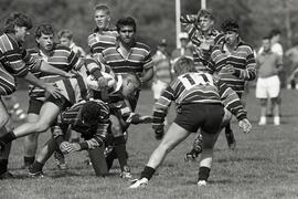 Rugby tournament in Port Moody