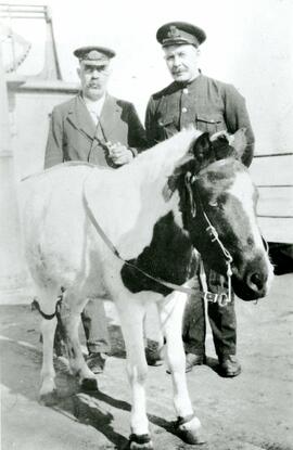 Captain Sellers with a horse