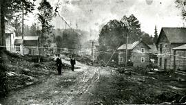 1200 Block of Brunette Street
