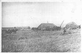 Patients harvest hay with barns and the arena in the background