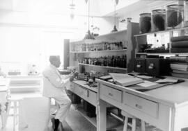 Essondale interior laboratory