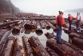 Workers on log booms