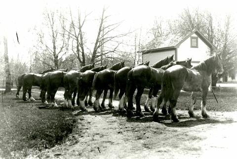 Open original Photographs and Documents