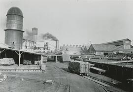 Fraser Mills, "A"Track and Dry Lumber Shed