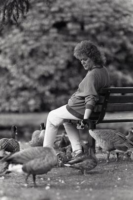 Shelagh Cole feeds the birds at Como Lake Park