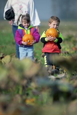 PoCo Happy Times preschool on a field trip to a Maple Ridge pumpkin farm at 128th Ave.