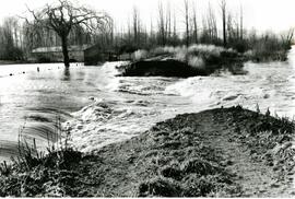 Flood at Essondale (Riverview) Hospital