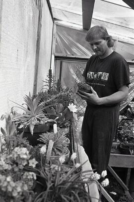 Bill Herbst, alpine plants grower