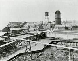Fraser Mills, Aerial