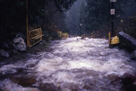 Flooding of Munro Creek and Quarry Road