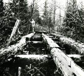 Logging railroad near Noon's Creek