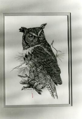 Painting of owl