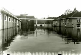 Men in boat between barns during flood (Colony Farm)
