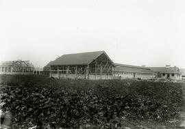 Construction of main barn and milking parlour (Colony Farm)