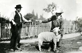 Mr. Pett selling a sheep to Mr. Hamilton