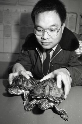 Man with turtles