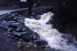Flooding in Coquitlam in the spring of 1997