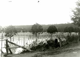 View of corrals at milking parlour during flood (Colony Farm)