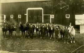 Horse teams at Fraser Mills