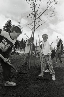 Students planting trees along Montgomery St.