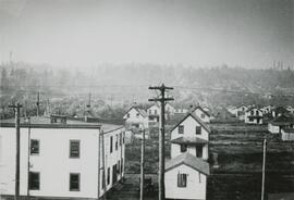 Fraser Mills, Hotel and Townsite