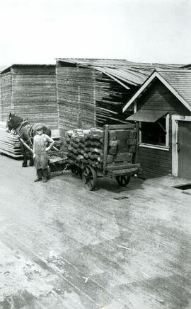 Horse and lumber cart at Fraser Mills