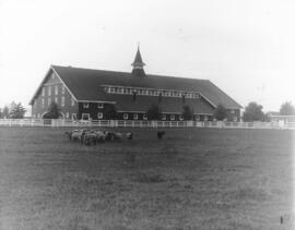 Exterior shot of barn with sheep in foreground