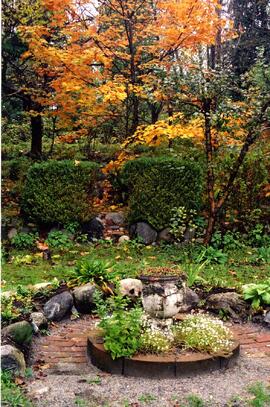 Finnie's Garden on səmiq̓ʷəʔelə/Riverview site in fall