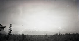 View of forest and Mount Baker