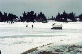 Zamboni on Como Lake