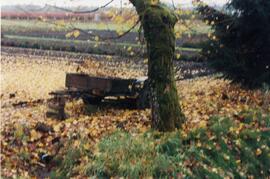 Trailer covered in leaves at Minnekhada