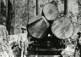 Large logs on a railcar