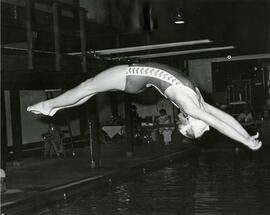 Diving Competition
