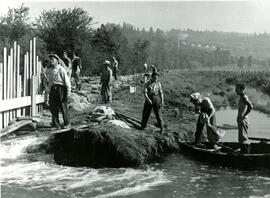 Maintaining the dykes during Flood at Colony Farm