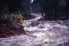 Flooding of Munro Creek and Quarry Road