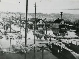 Fraser Mills, Flooded Townsite and Railroad Crossing