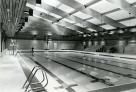 Chimo Pool