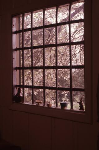 Open original Photographs and Documents