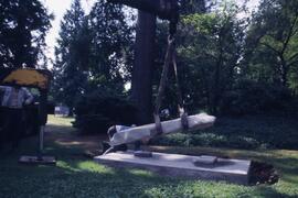 Sculptures in Blue Mountain Park