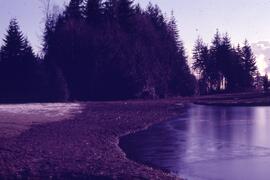 Mundy Park peat bog