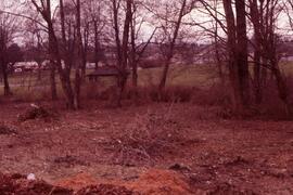 Mackin Park