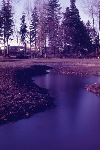 Open original Photographs and Documents