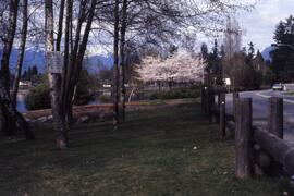 Como Lake Park