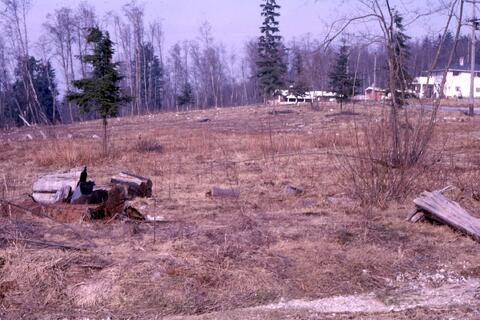 Open original Photographs and Documents